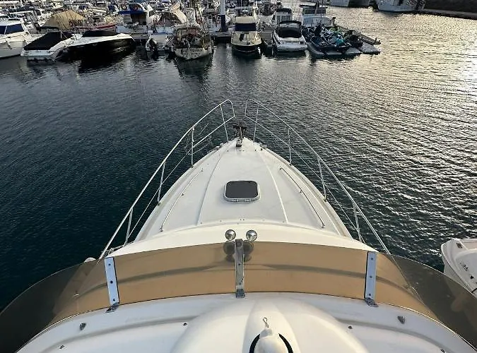 Tekne Barco Princess Cachucho Fly